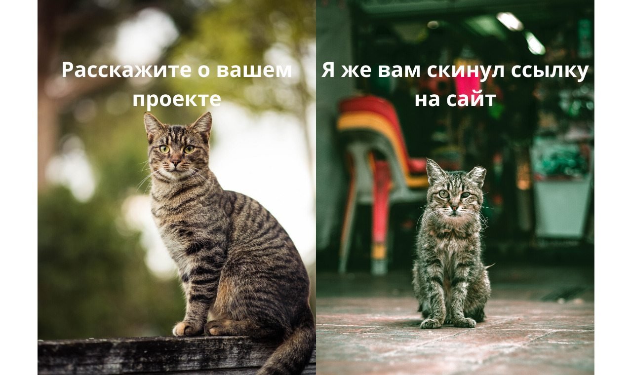 Первый созвон с клиентом: как брифовать правильно?